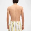 Il costume da bagno Puntini Pantaloncini da bagno a righe Il costume da bagno Puntini Pantaloncini da bagno a righe