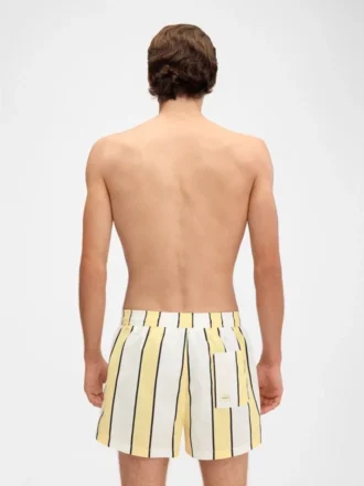 Il costume da bagno Puntini Pantaloncini da bagno a righe